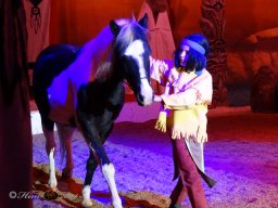 Circus YAKARI Show am 04.10.2024